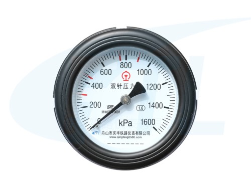 YYS-100Z Double needle pressure gauge -HXN5